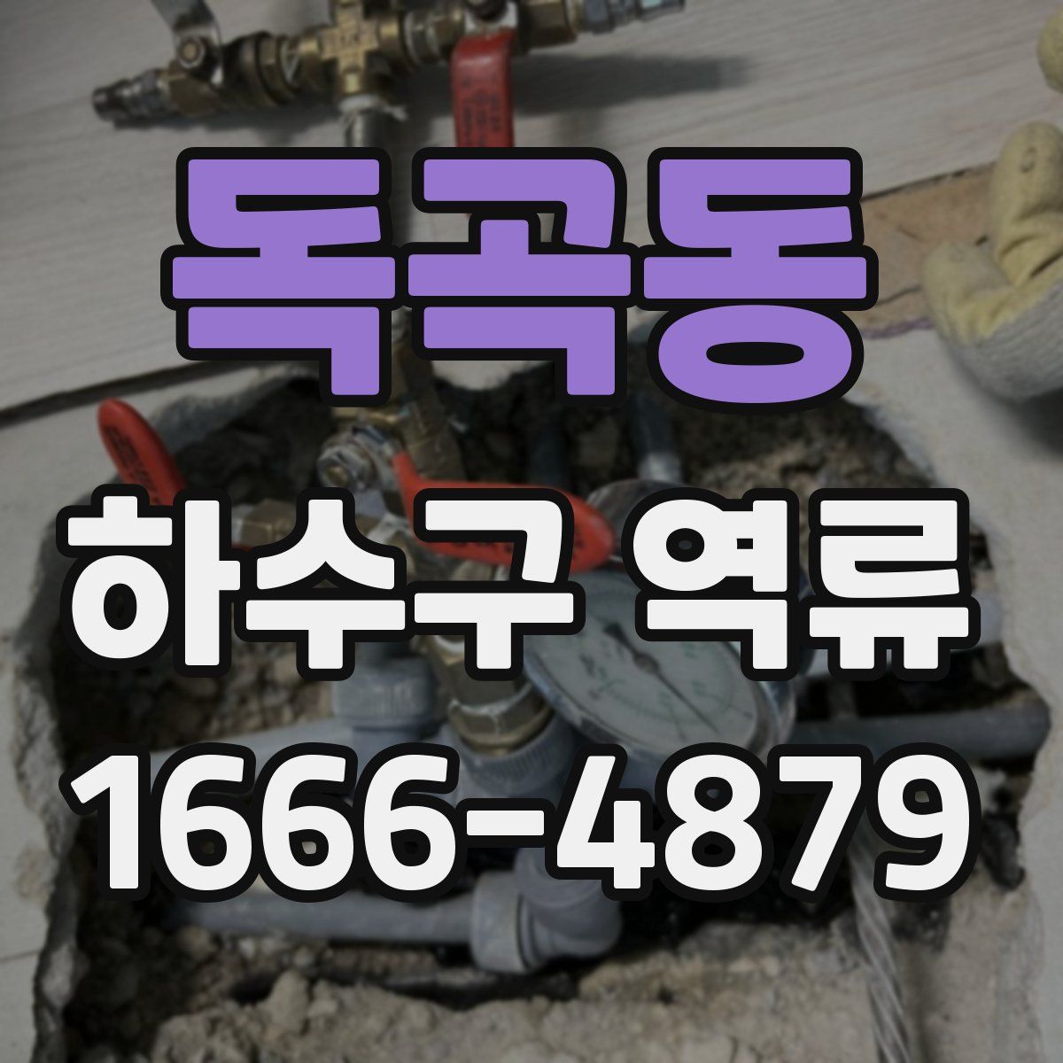 독곡동 하수구 역류