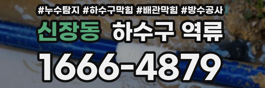 신장동 하수구 역류