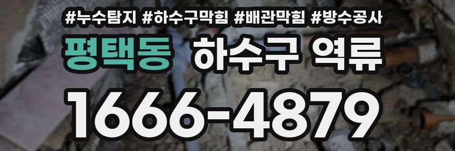 평택동 하수구 역류