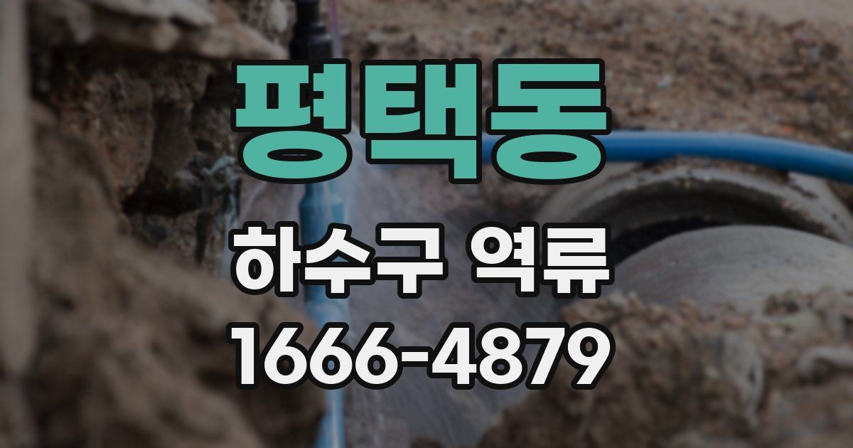 평택동 하수구 역류