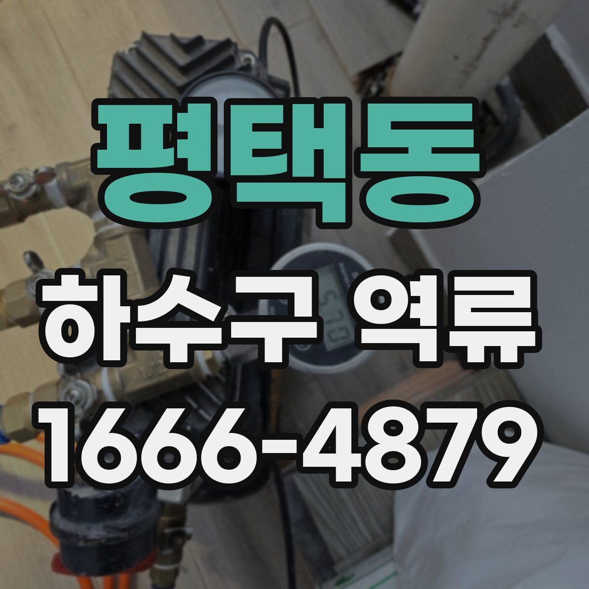 평택동 하수구 역류
