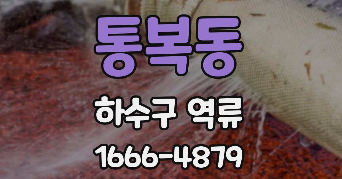 통복동 하수구 역류