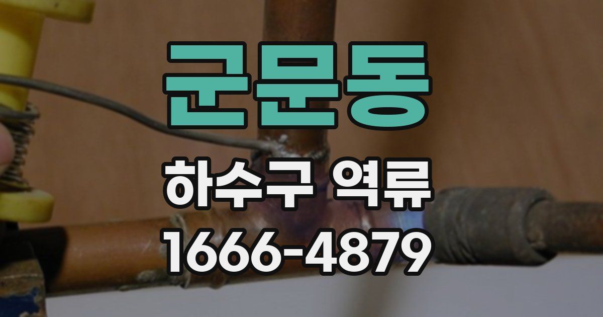 군문동 하수구 역류
