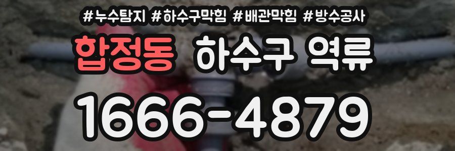 합정동 하수구 역류