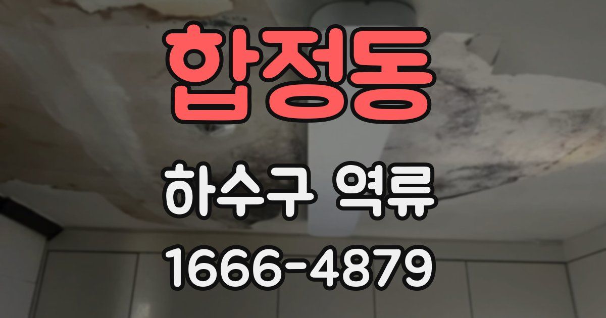 합정동 하수구 역류