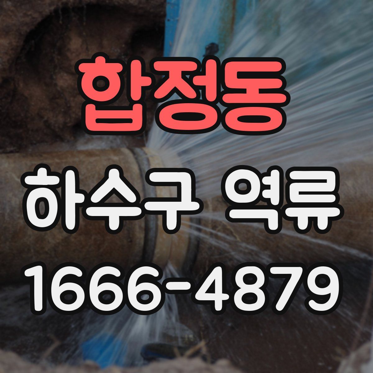 합정동 하수구 역류