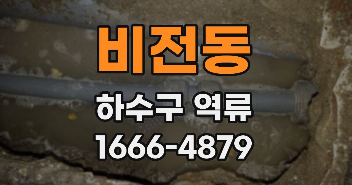 비전동 하수구 역류