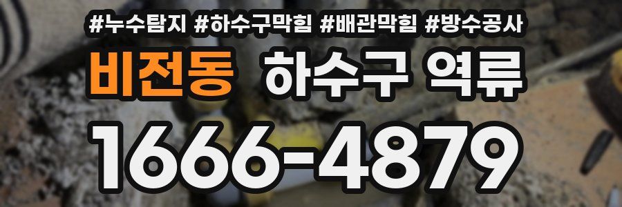비전동 하수구 역류