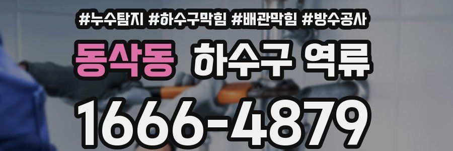 동삭동 하수구 역류
