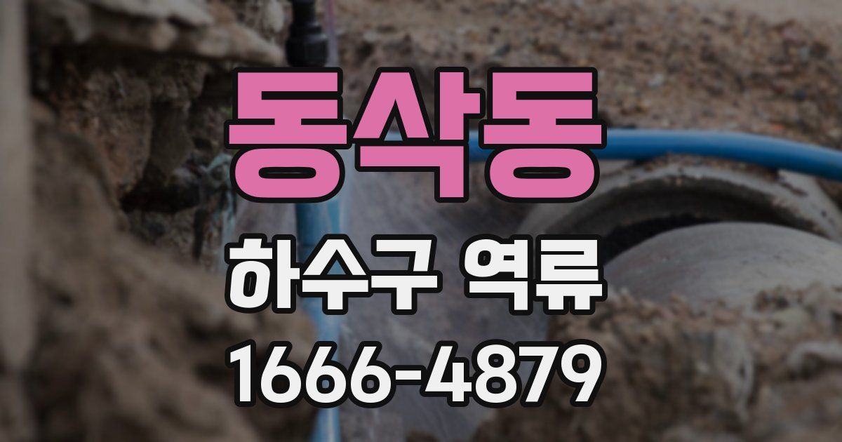 동삭동 하수구 역류