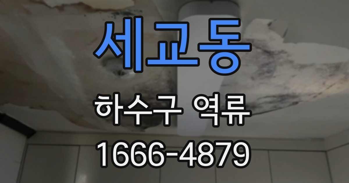 세교동 하수구 역류