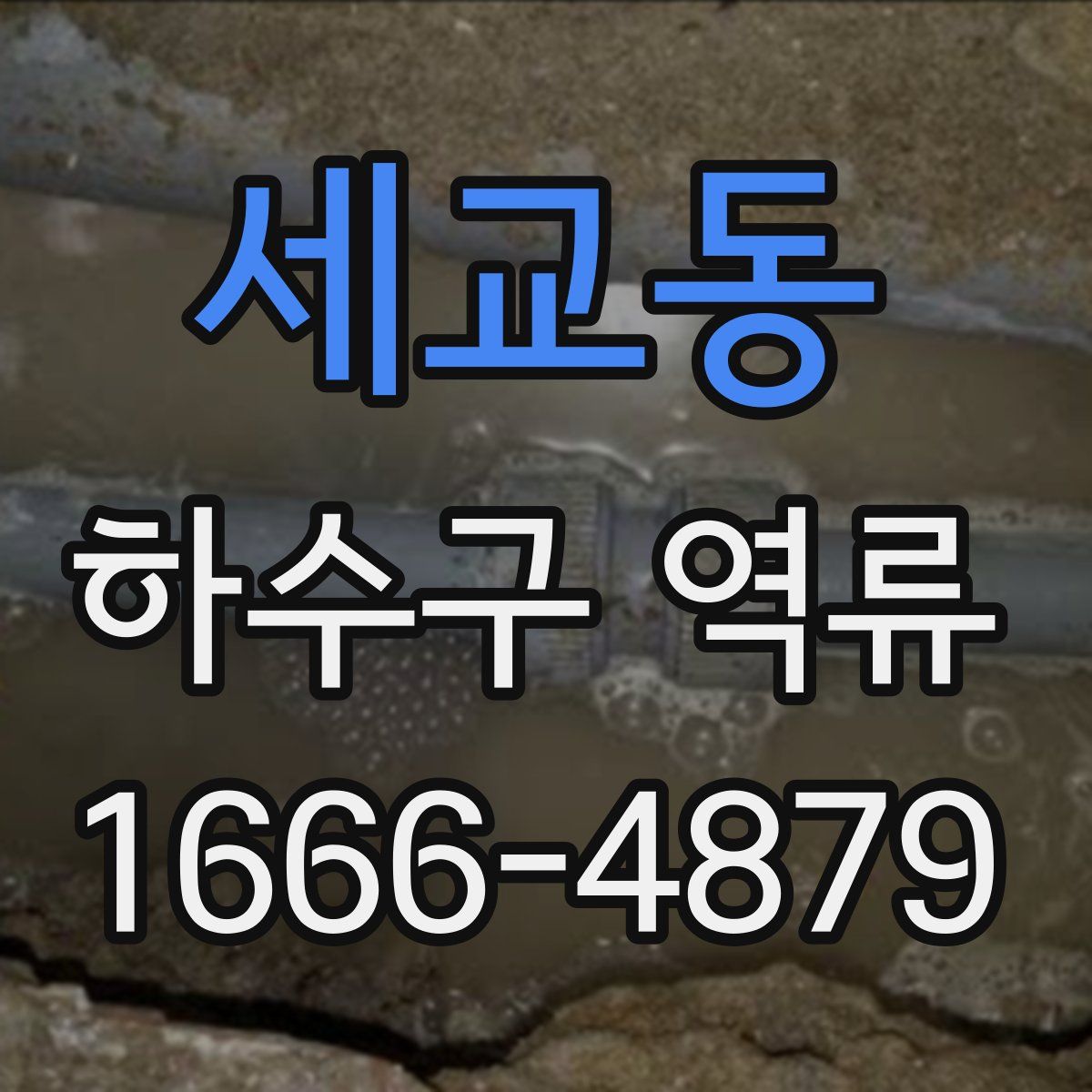 세교동 하수구 역류