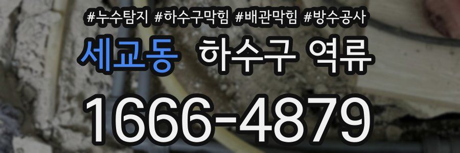 세교동 하수구 역류
