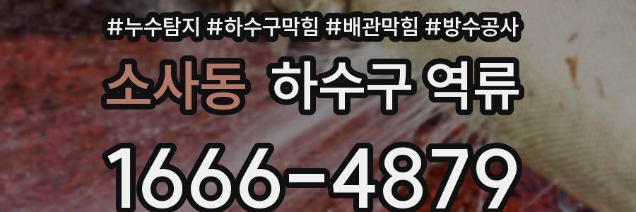 소사동 하수구 역류