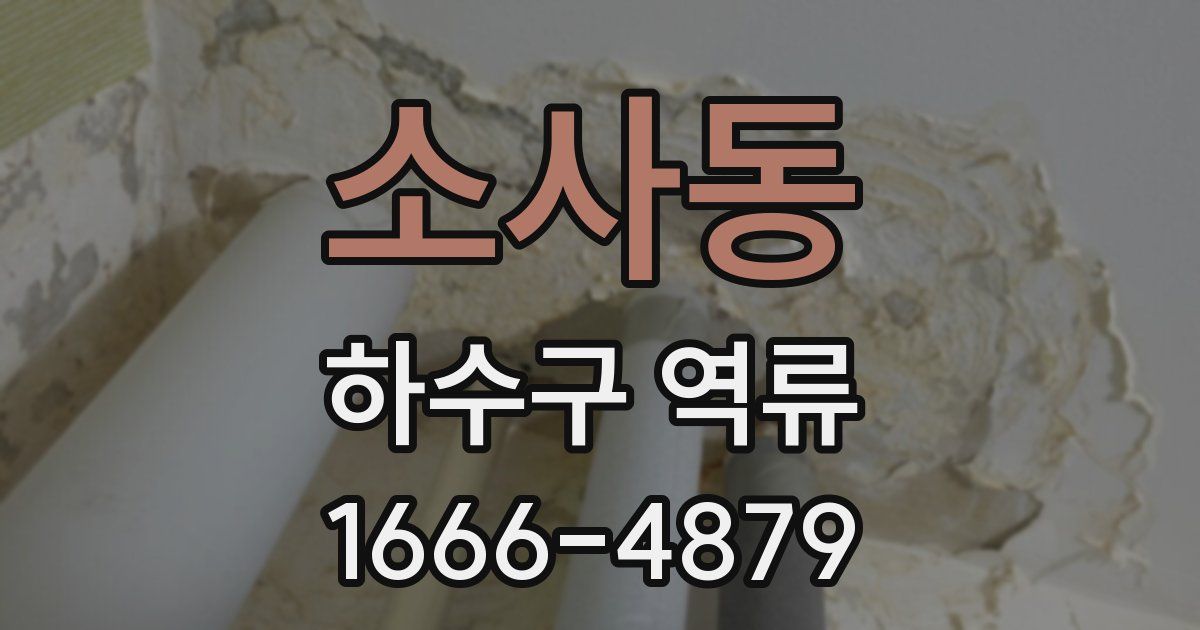 소사동 하수구 역류