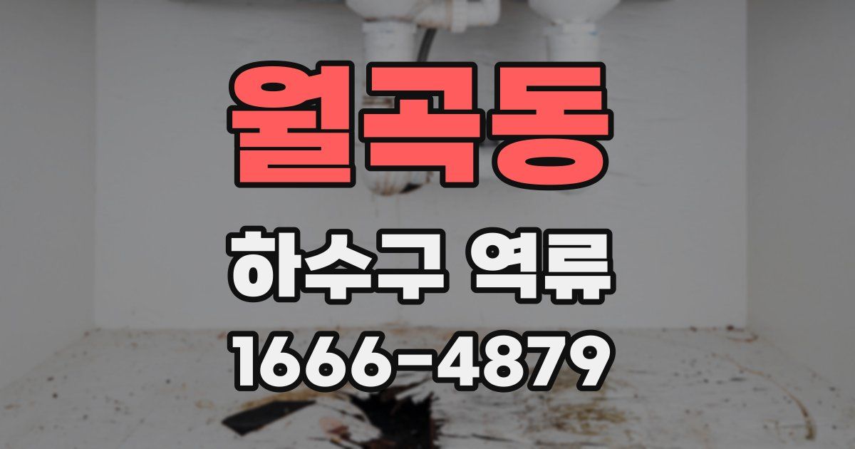 월곡동 하수구 역류