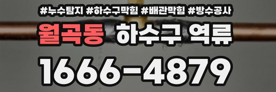 월곡동 하수구 역류