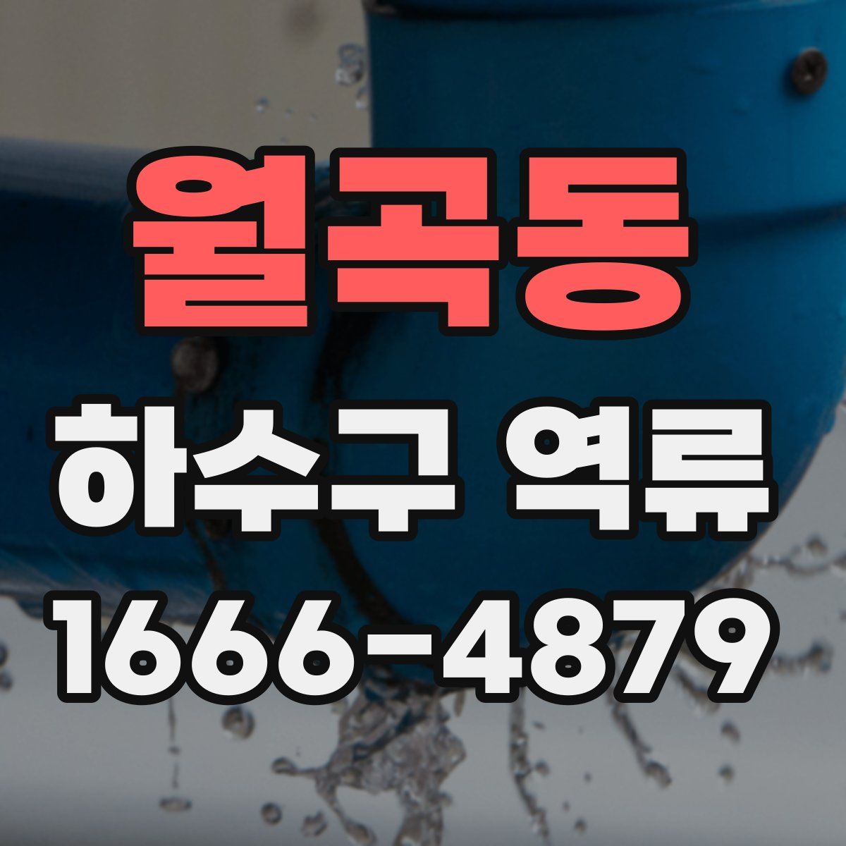월곡동 하수구 역류
