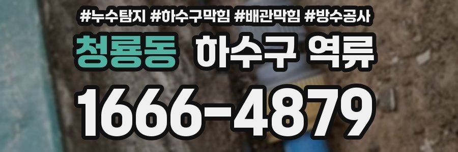 청룡동 하수구 역류