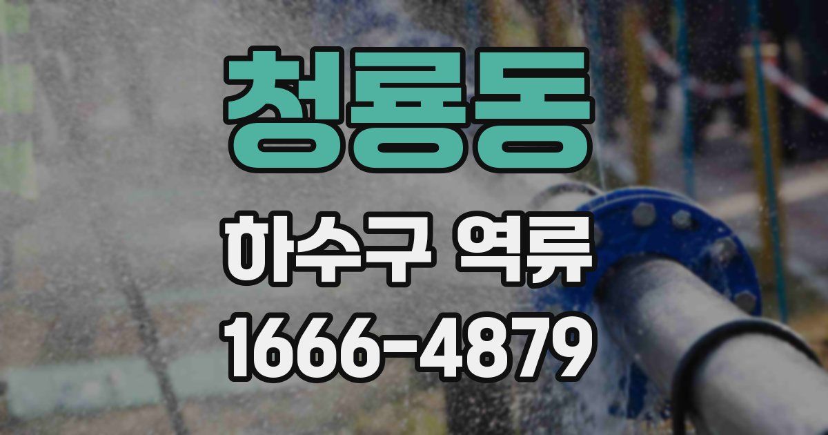 청룡동 하수구 역류