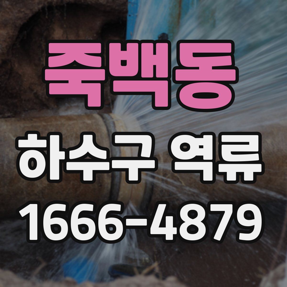 죽백동 하수구 역류