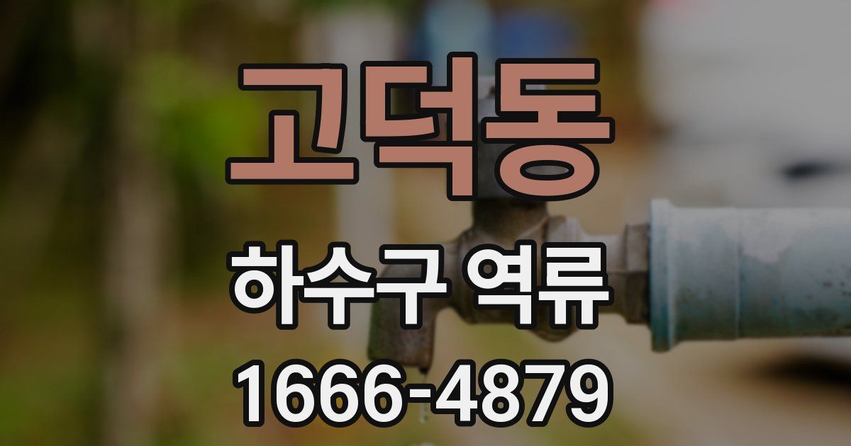 고덕동 하수구 역류