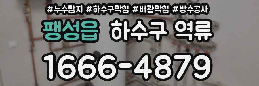 팽성읍 하수구 역류