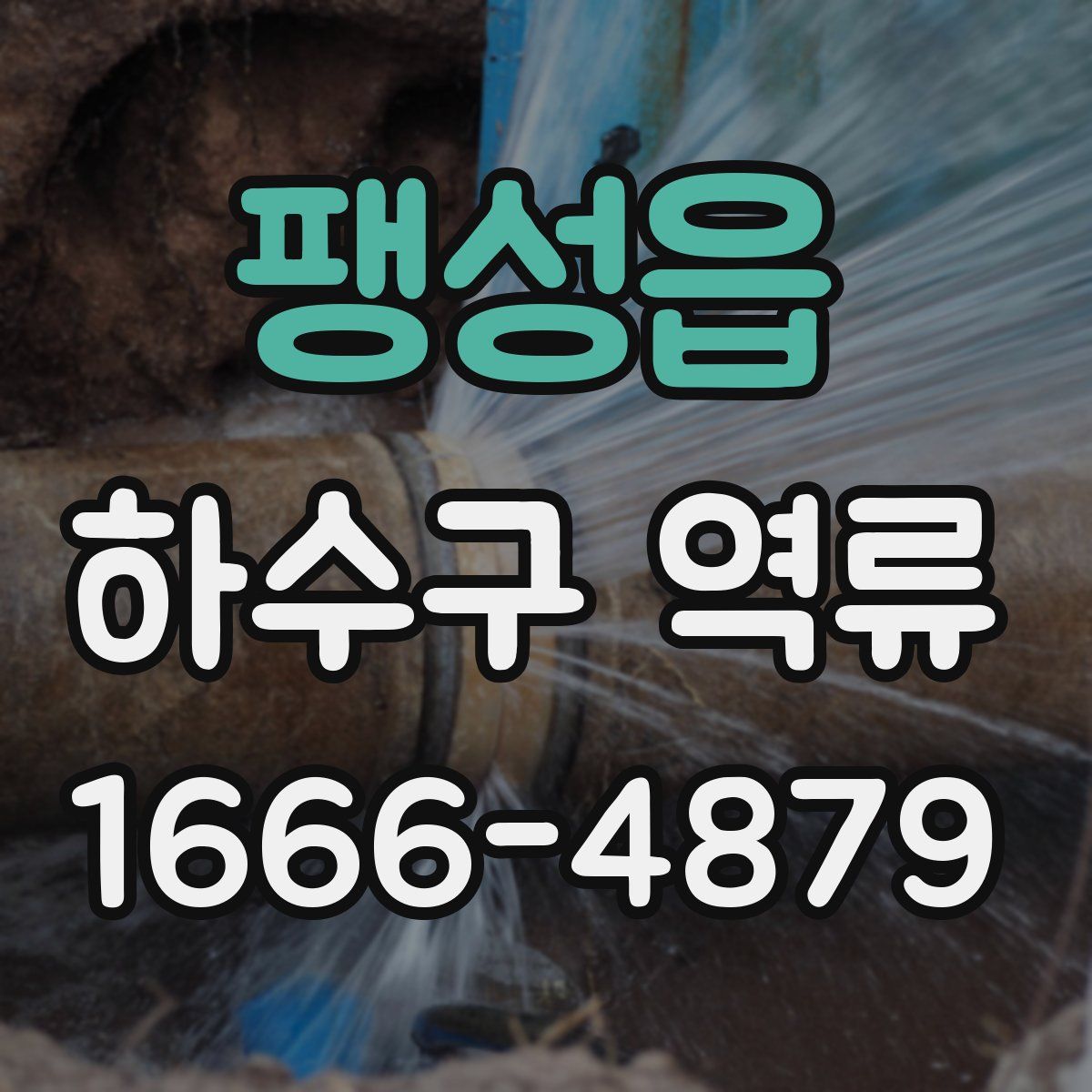 팽성읍 하수구 역류