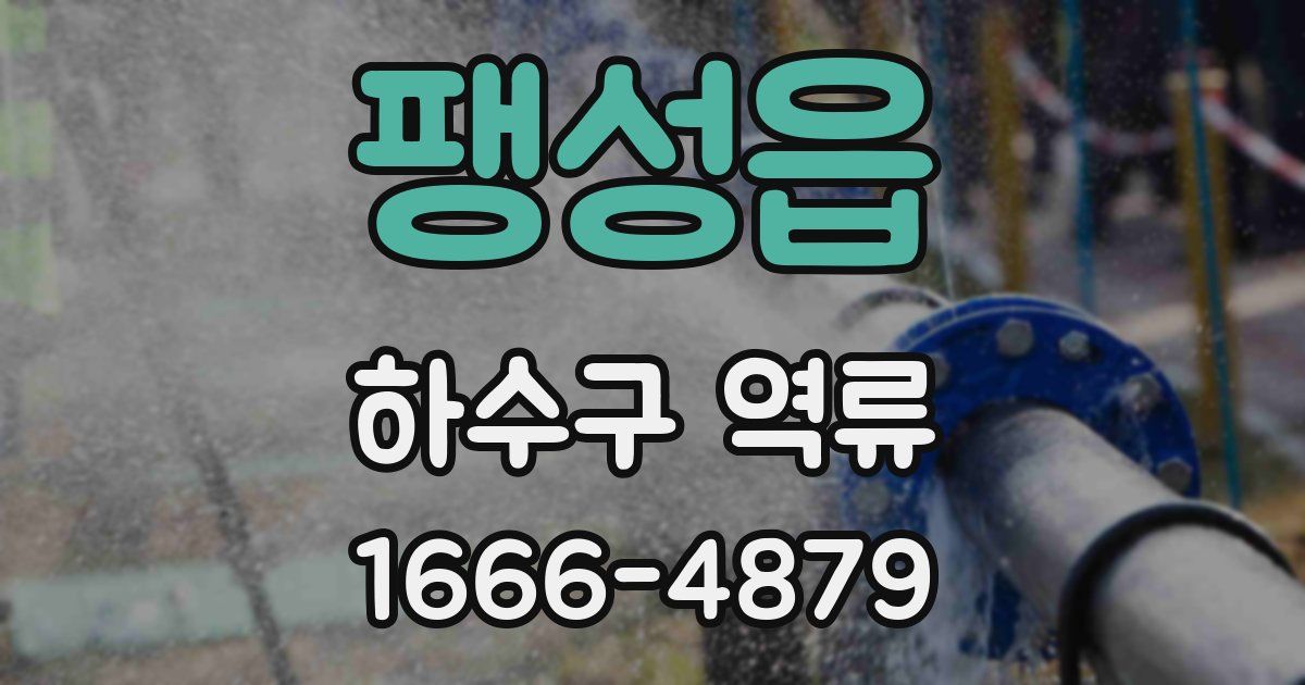 팽성읍 하수구 역류
