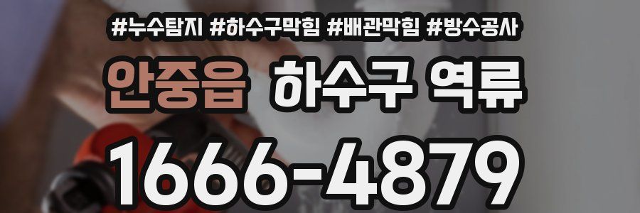 안중읍 하수구 역류