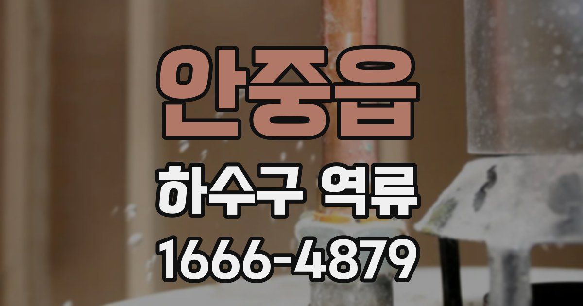 안중읍 하수구 역류