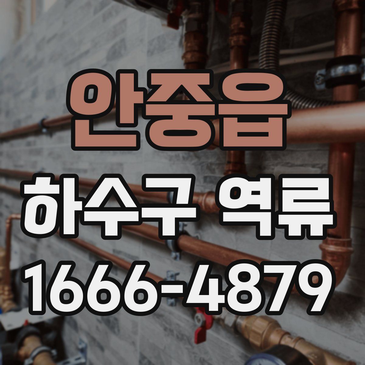 안중읍 하수구 역류