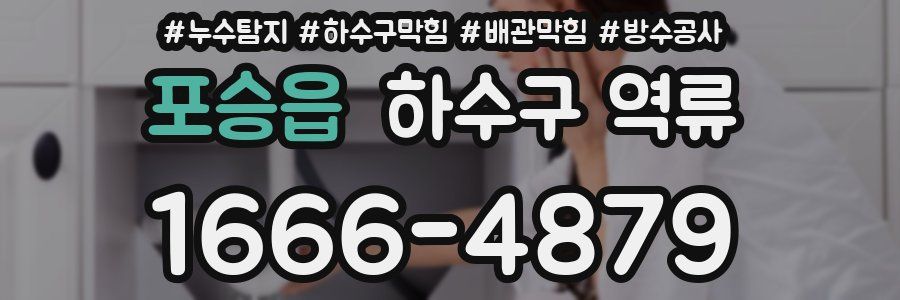 포승읍 하수구 역류
