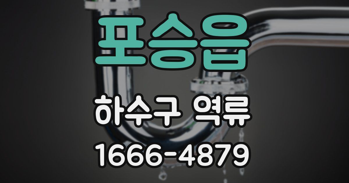 포승읍 하수구 역류