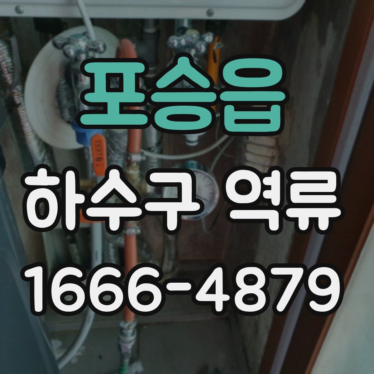 포승읍 하수구 역류