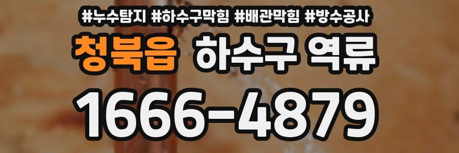청북읍 하수구 역류