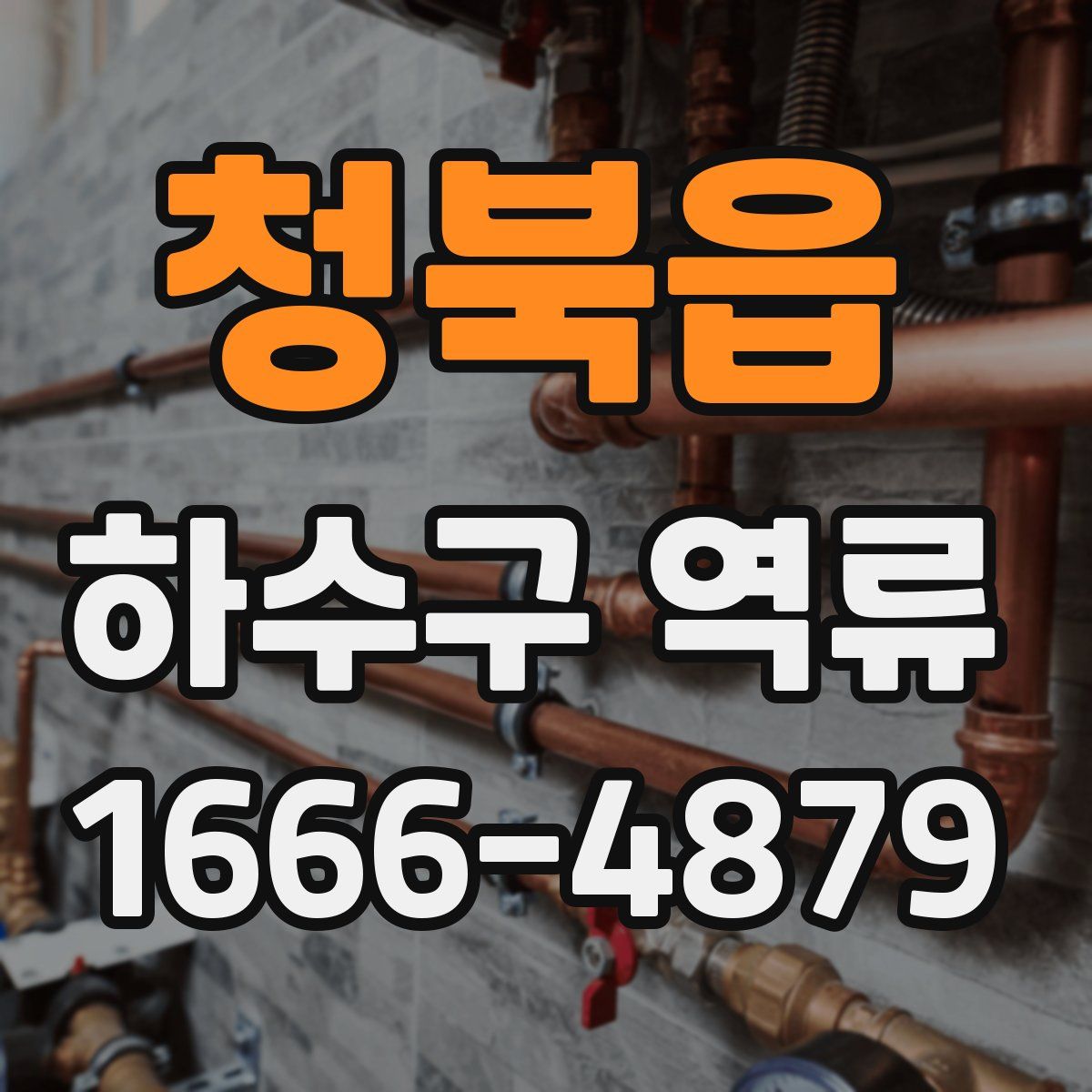 청북읍 하수구 역류
