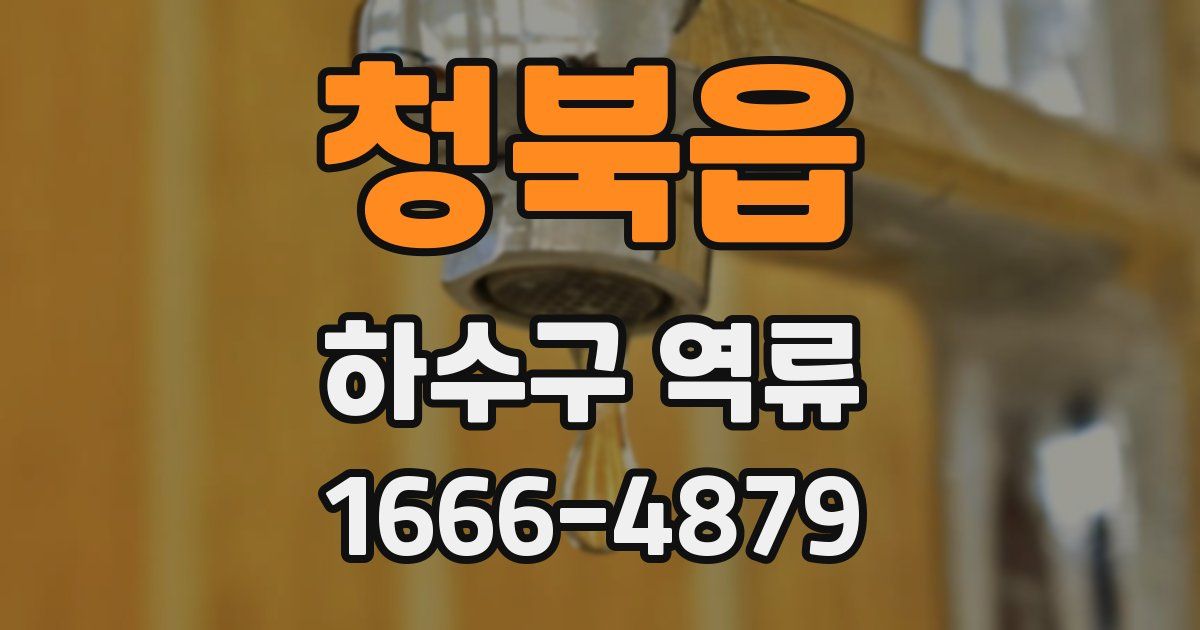 청북읍 하수구 역류