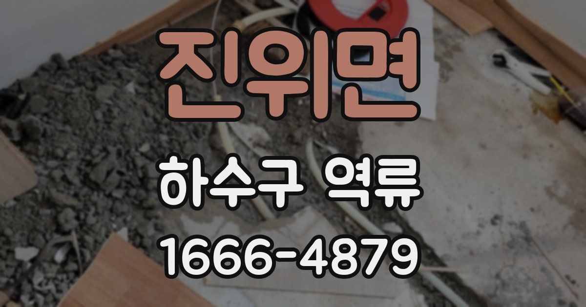 진위면 하수구 역류