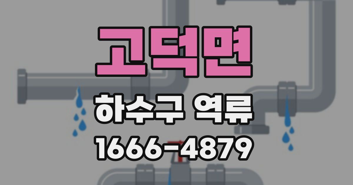 고덕면 하수구 역류
