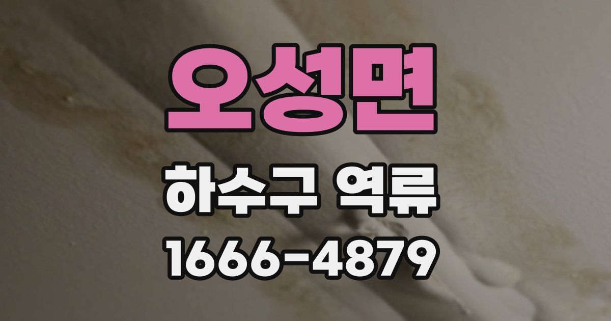 오성면 하수구 역류
