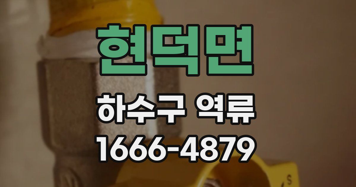 현덕면 하수구 역류