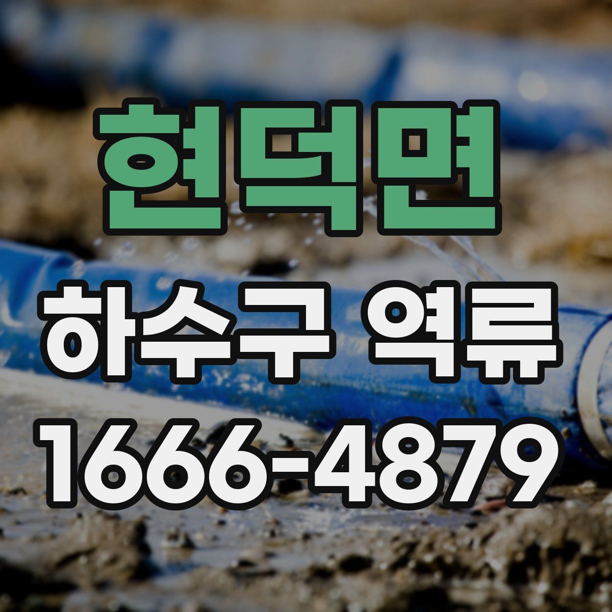 현덕면 하수구 역류