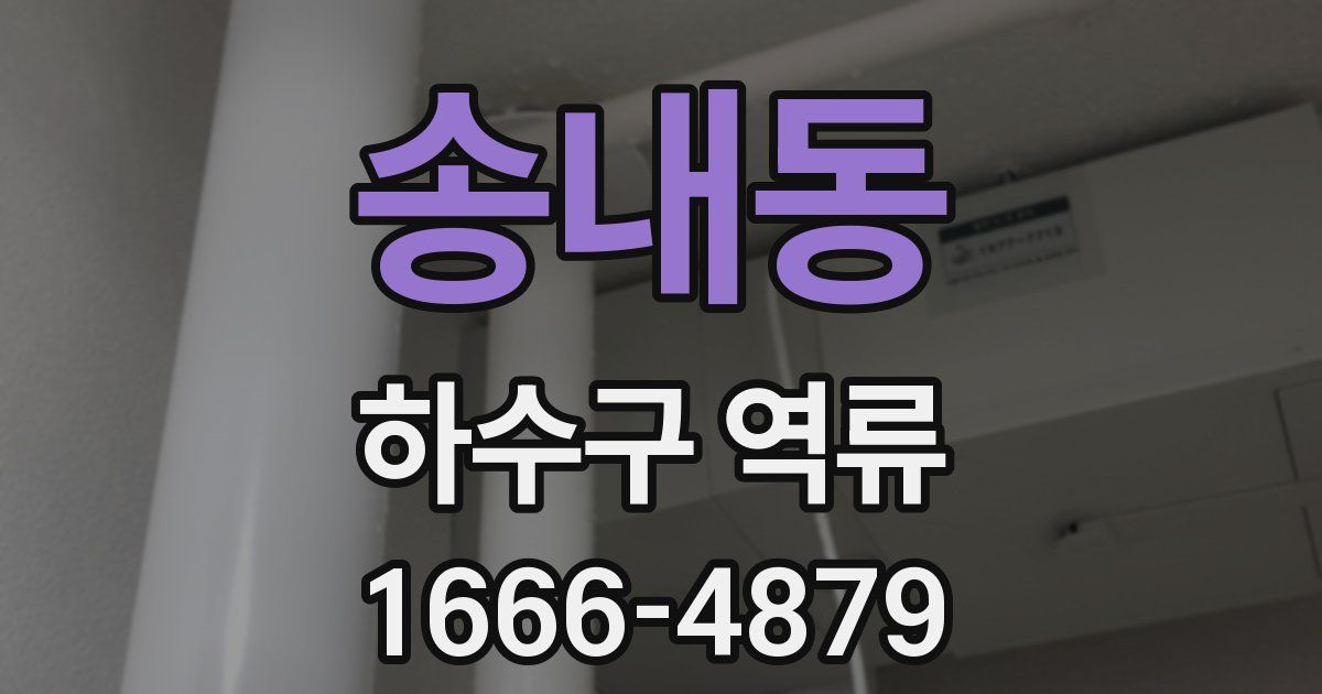송내동 하수구 역류