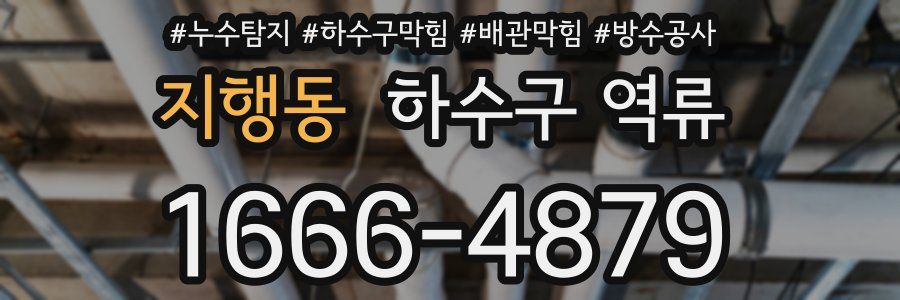 지행동 하수구 역류