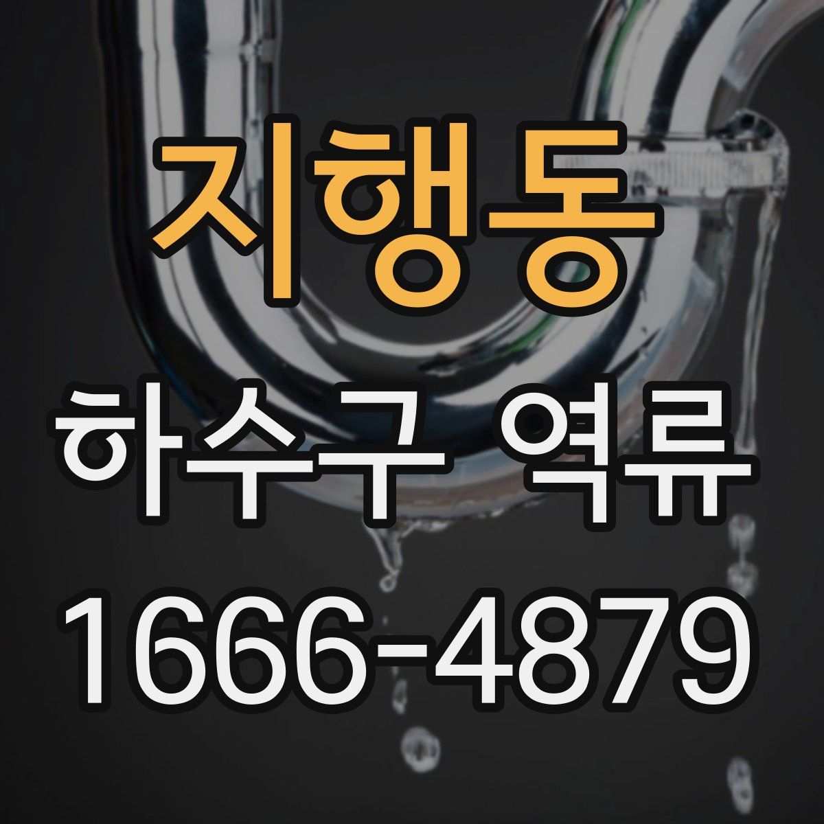 지행동 하수구 역류