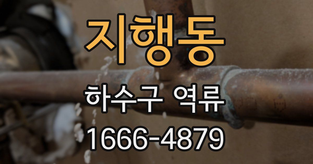 지행동 하수구 역류