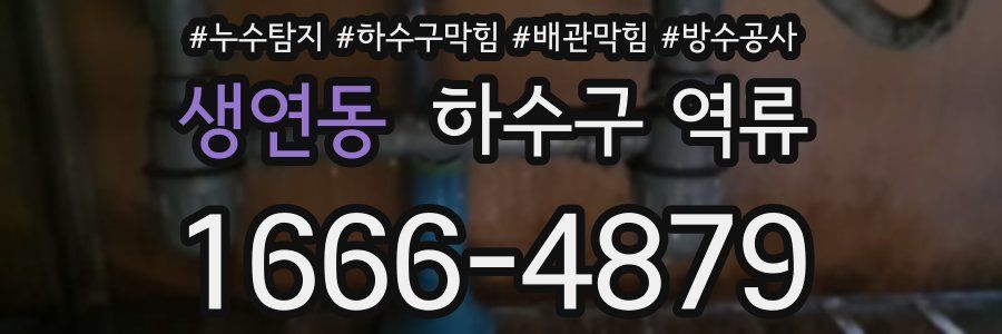 생연동 하수구 역류