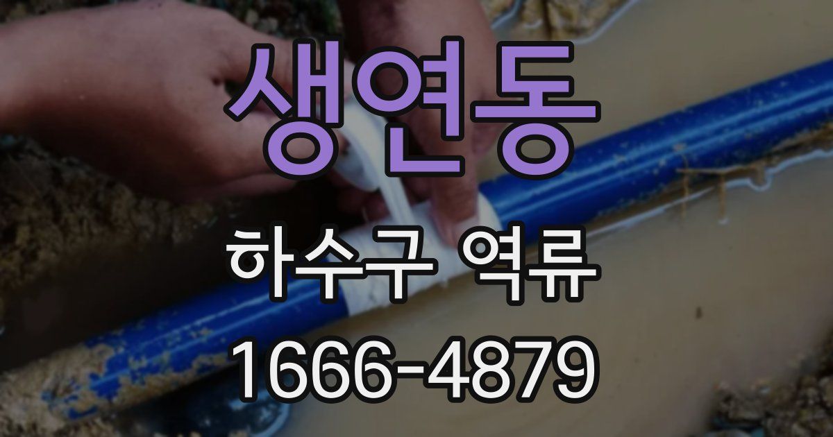 생연동 하수구 역류