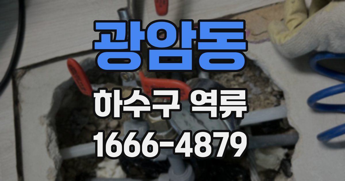 광암동 하수구 역류